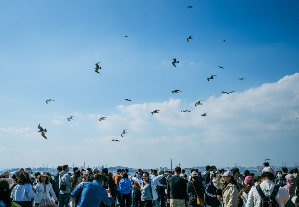 Wings of Peace